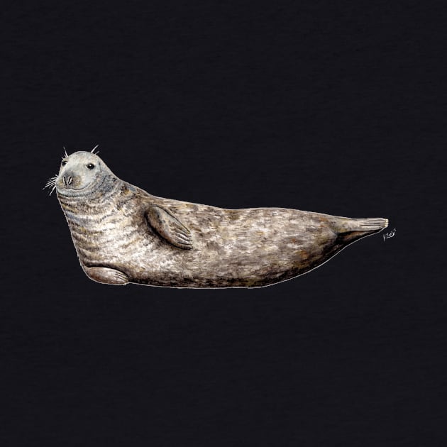 Grey seal by chloeyzoard